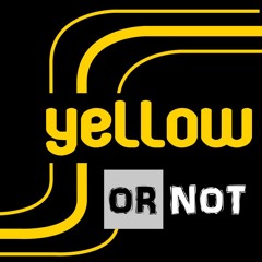 ZioMau - Yellow Or Not