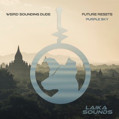 Weird Sounding Dude - Future Resets (Original Mix)[Clip]