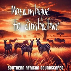 African Zen Journey