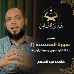 30 تفسير سورة الممتحنة (2) لا تتخذوا عدوي وعدوكم أولياء | د. أحمد عبد المنعم | هدى للناس