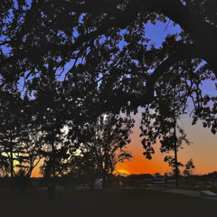 Tryna Say [p. zukobain]