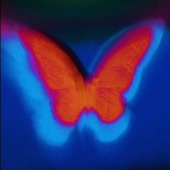 Butterfly Effect (freestyle) [feat. Polxr x EastKid]
