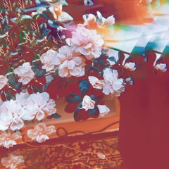 PREMIERE: Shokh - Callamba (Annechoic Remix) [Self-Released]