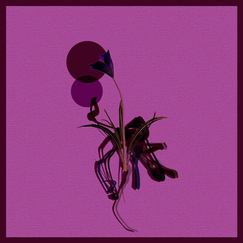 Premiere: Alg0rh1tm - External Intervention [Teorema]