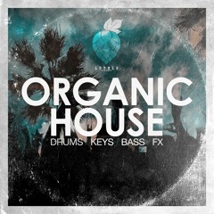 LS017 Organic House