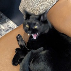 the wizardman has gone offline.wav