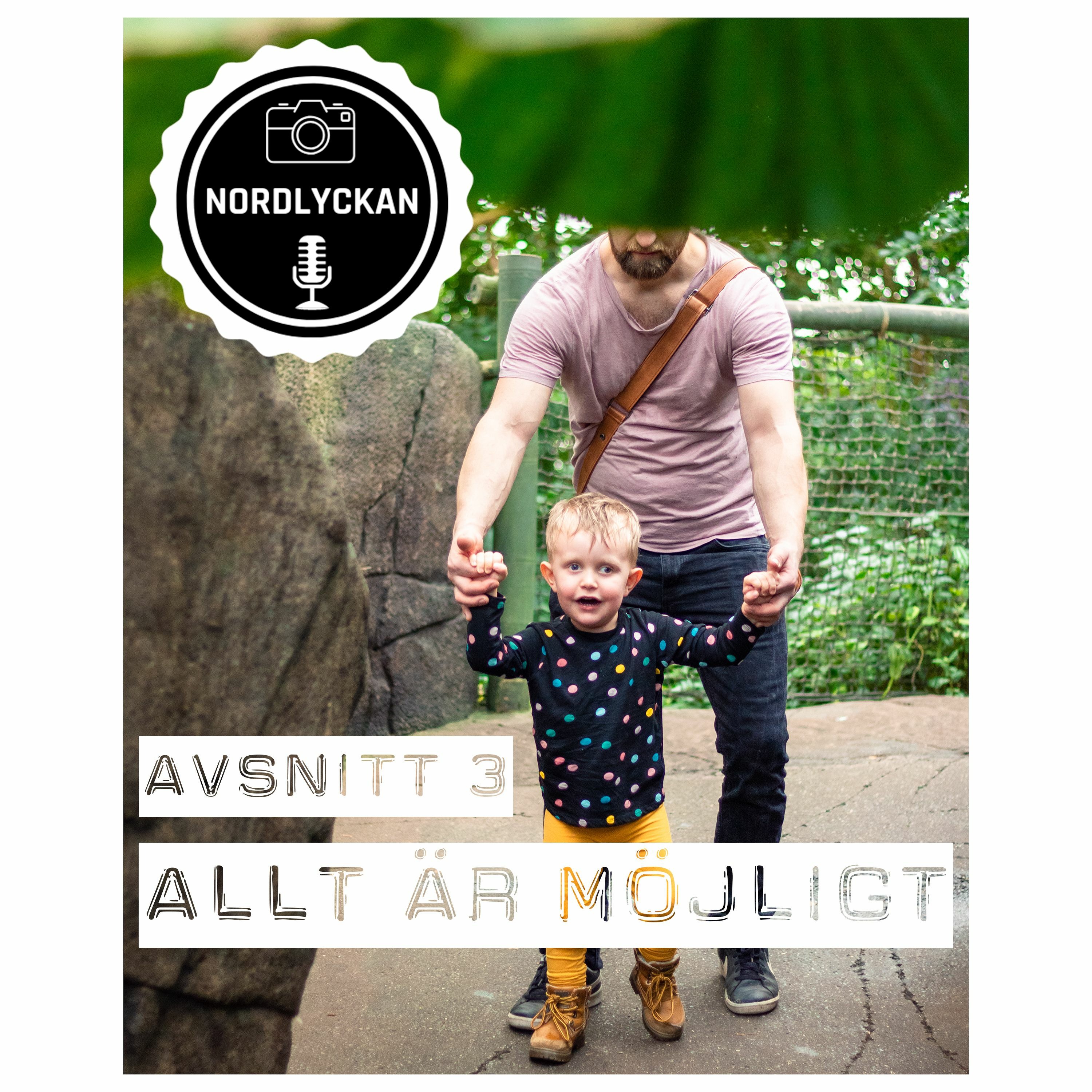 Nordlyckan