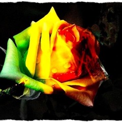 No Worry Here… (Tawwakkul & Ishq)