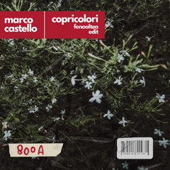 Marco Castello - Copricolori (fenoaltea 800A edit)