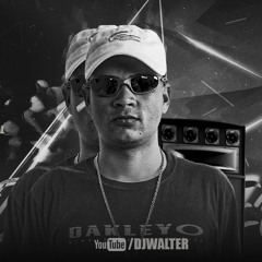 BOTADA PROFUNDA - MC 12, Silva MC, DJ Walter