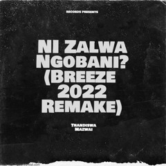 Nizalwa Ngobani?(Breeze 2022 Remake)[Master By DJ Soul Havok]