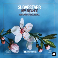 Hey Sunshine (Antonio Giacca Radio Mix) [feat. Alexander]