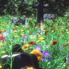 Swimming Through Liminal Spaces