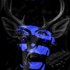 Love and War - Rabbit Hole 7