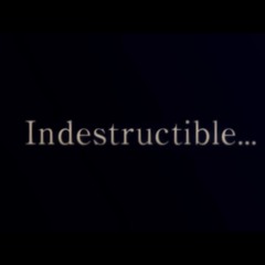 Indestructible (Korean Ver.)
