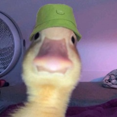 masken fallen (deutsch)