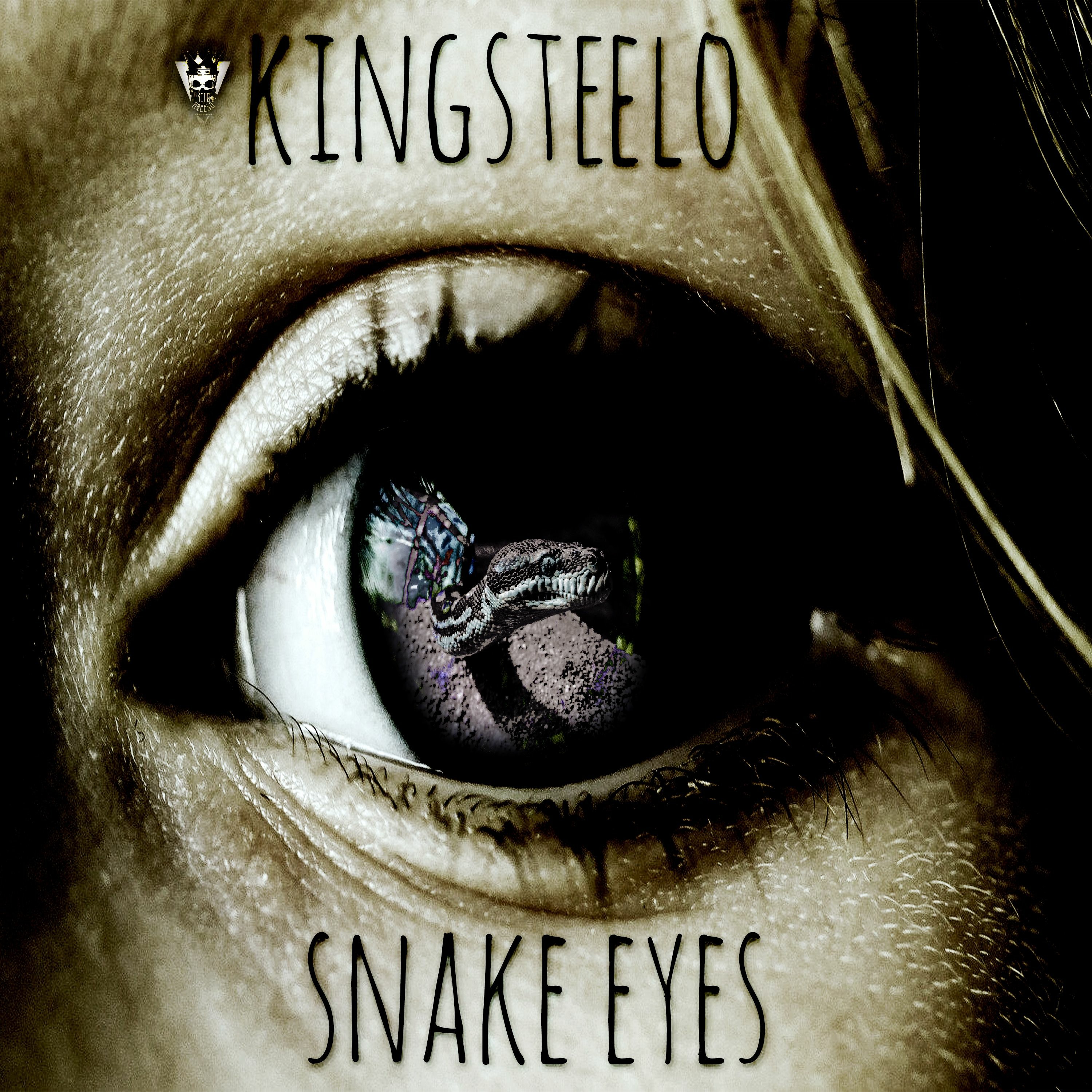 authorkingsteelo@gmail.com