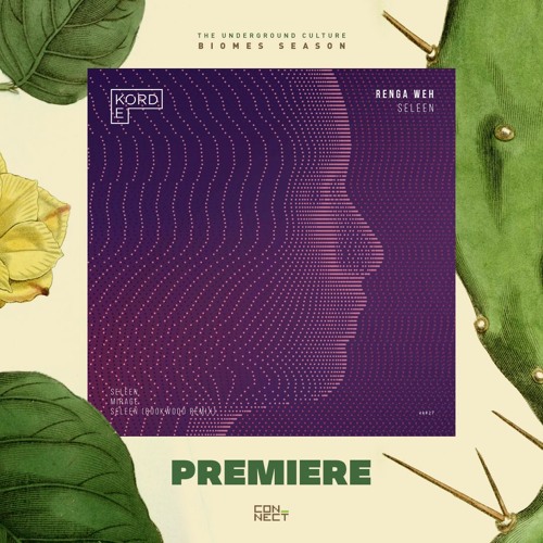 PREMIERE: Renga Weh - Seelen (Bookwood Remix) [EKORD]