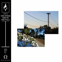 Ahrian - The Other Side Of The Wall