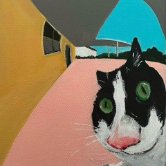 a dog’s life