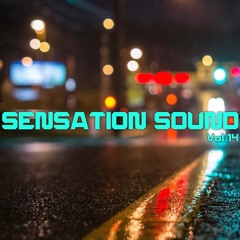 SENSATION SOUND VOL.14 by CHRIS APP (2022) Tech House Mix
