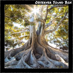 Roots with Quality