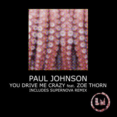 Paul Johnson - You Drive Me Crazy ft. Zoe Thorn