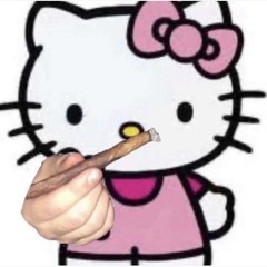 Go Kitty Go!
