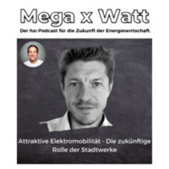 attraktive Elektromobilität - Die Rolle der Stadtwerke in Zukunft (Johannes, LV+ & Sebastian)