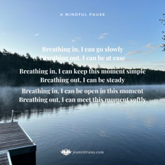 Mindfulness Meditation: Simple & Steady