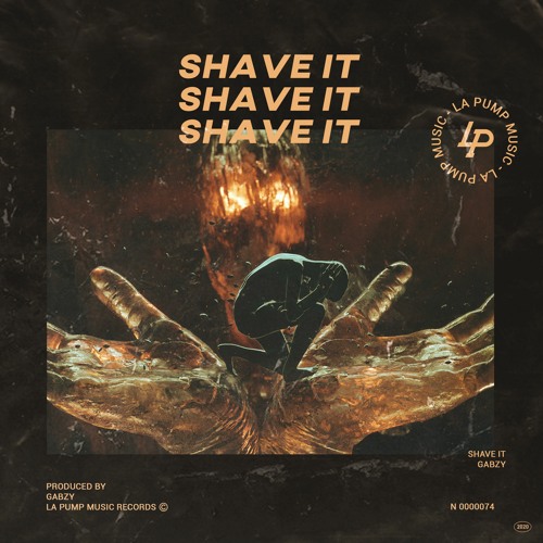 Stream Zedd - Shave It (Gabzy Bootleg)Free Download by La Pump Side |  Listen online for free on SoundCloud