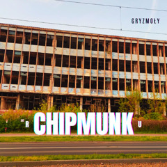 Chipmunk R - Czy to twój kasztan