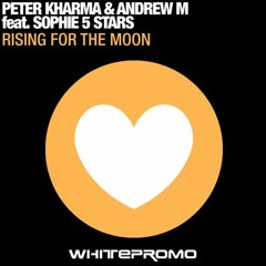 Rising For The Moon (Nucleus & The Henchmen Remix) [WHP2739]