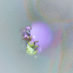 Polën presents: Biotope Season 01 V/A [snippets]
