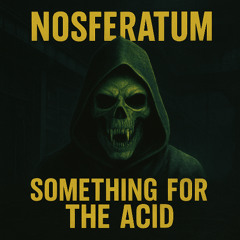 nosferatum - something for the acid (extended remix)