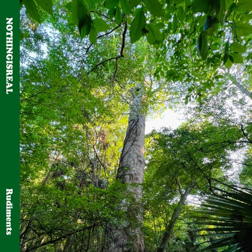 Rudiments [full tape]