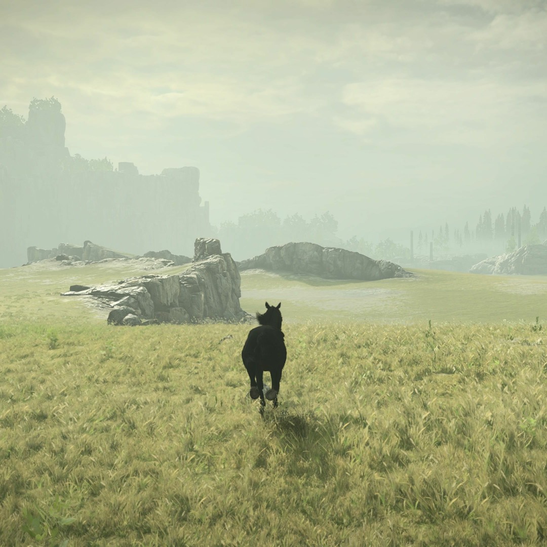 artworks-eQLTPxPhxItsM7fD-