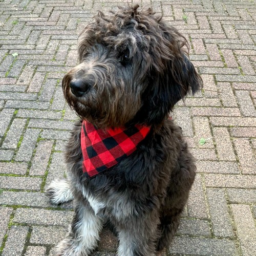 ❌-//  eindbaassss   //-❌