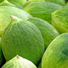 Musica nel ristorante ---> LoFi / House