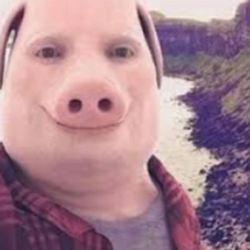 While There's Still Time