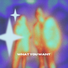 What You Want (Free DL)