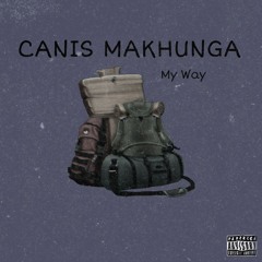 My Way.wav