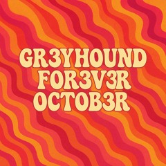 GR3YHOUND