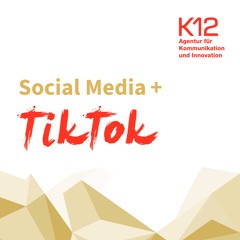#13 Wie können Unternehmen TikTok nutzen?