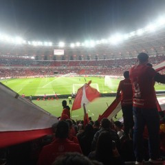 SE QUER VER A FESTA 🇦🇹🔥 GUARDA POPULAR