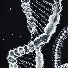 Cosmic Serpent (live extract)