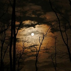 THE BEST DUA FOR LAILATUL QADR! Ramadan 2023 - دعاء ليلة القدر