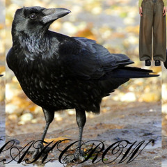 Acne * macroblakcrow