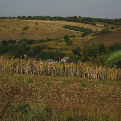 drimandr- Вічно