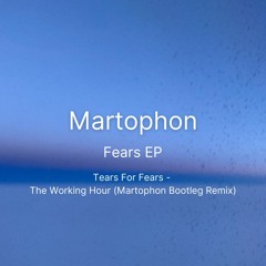 Tears For Fears - The Working Hour (Martophon Bootleg Remix)